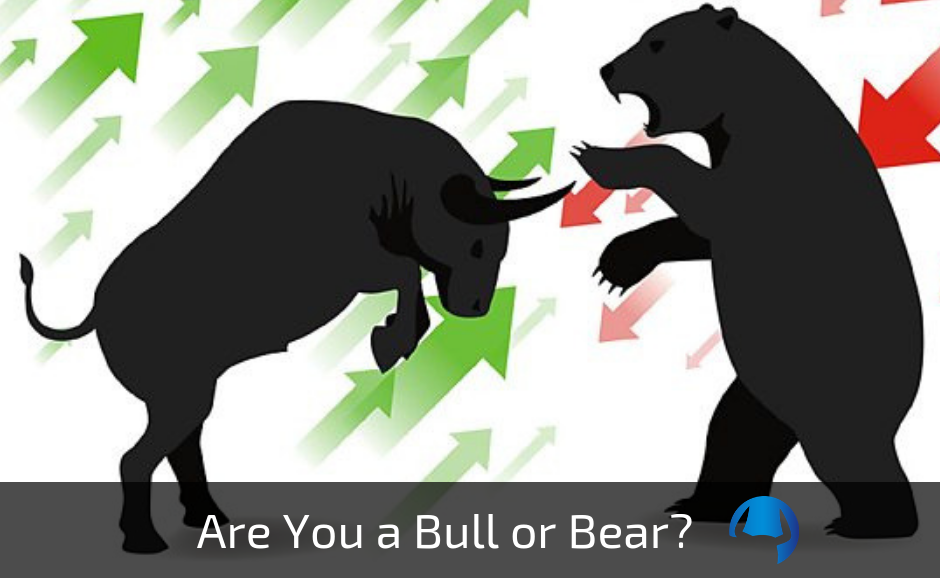 Read more about the article Are You A Bull or Bear?