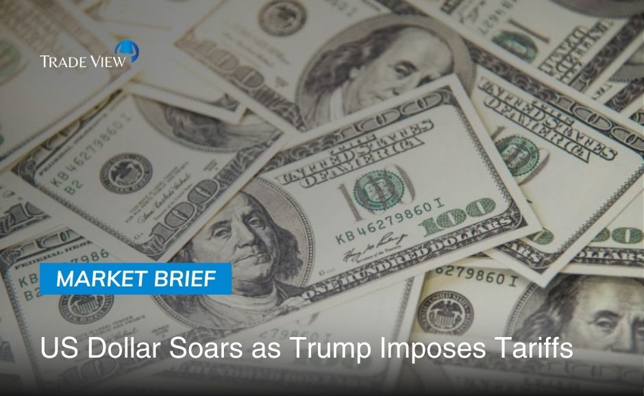 Read more about the article US Dollar Soars as Trump Imposes Tariffs