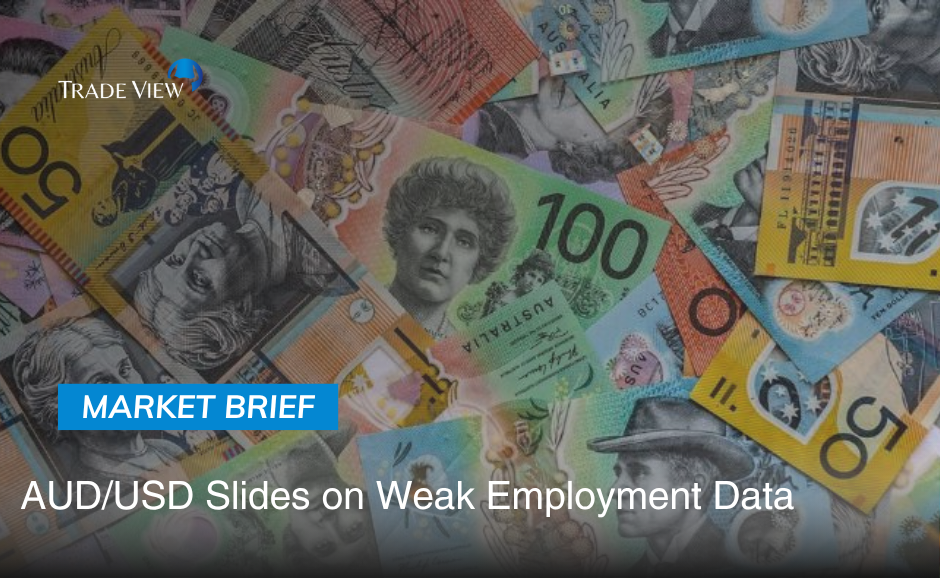 Read more about the article AUDUSD Slides on Weak Employment Data